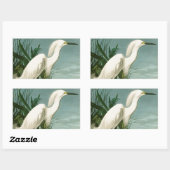 Sticker Rectangulaire Audubon Héron de neige Oiseaux d'aigrettes blanche (Feuille)