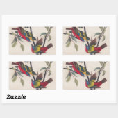Sticker Rectangulaire Audubon Peint Bunting Bird Wildlife (Feuille)