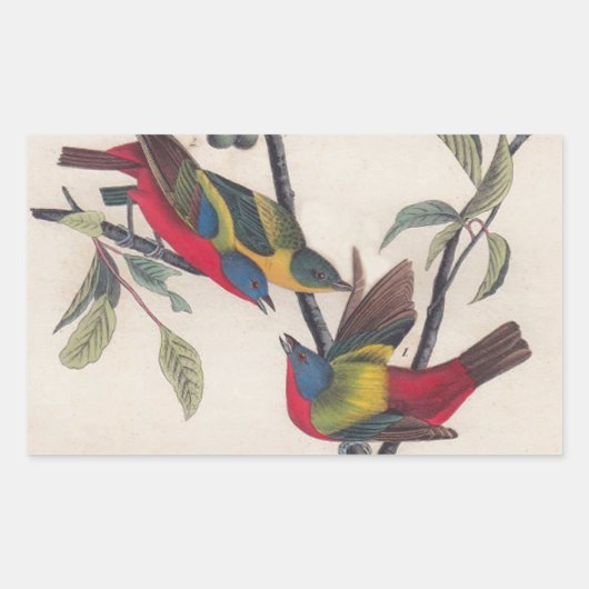 Sticker Rectangulaire Audubon Peint Bunting Bird Wildlife (Devant)