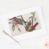 Sticker Rectangulaire Audubon Peint Bunting Bird Wildlife (Enveloppe)