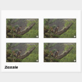 Sticker Rectangulaire Automne - Faucon pèlerin (Feuille)