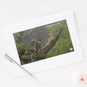 Sticker Rectangulaire Automne - Faucon pèlerin (Enveloppe)