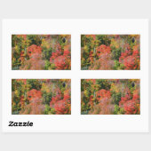 Sticker Rectangulaire Automne Hillside Colorful Automne Nature Photograp (Feuille)