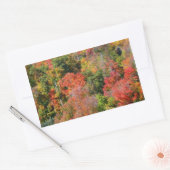 Sticker Rectangulaire Automne Hillside Colorful Automne Nature Photograp (Enveloppe)
