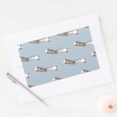 Sticker Rectangulaire Avion Santos-Dumont 14 Bis (Enveloppe)