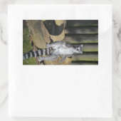 Sticker Rectangulaire Bague à quai Parc Lemur Drusillas (Sac)