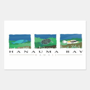 Sticker Rectangulaire Baie Hawaï de Hanauma