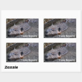 Sticker Rectangulaire Baignade mignonne Castor sauvage Photo Faune (Feuille)