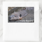 Sticker Rectangulaire Baignade mignonne Castor sauvage Photo Faune (Sac)