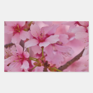 Sticker Rectangulaire Baigné dans les fleurs de cerisier japonaises rose