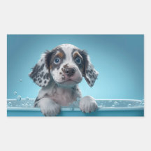 Baignoire à bulles Pup