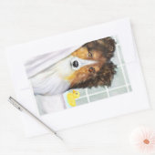 Sticker Rectangulaire Bain de rangement (Enveloppe)