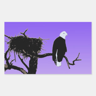 Sticker Rectangulaire Bald Eagle at Sunset - Art original de la faune