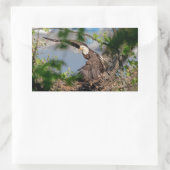 Sticker Rectangulaire Bald Eagle quittant le nid (Sac)