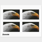 Sticker Rectangulaire Bald Eagle stcna (Feuille)