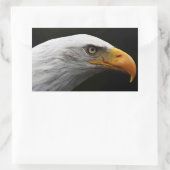 Sticker Rectangulaire Bald Eagle stcna (Sac)