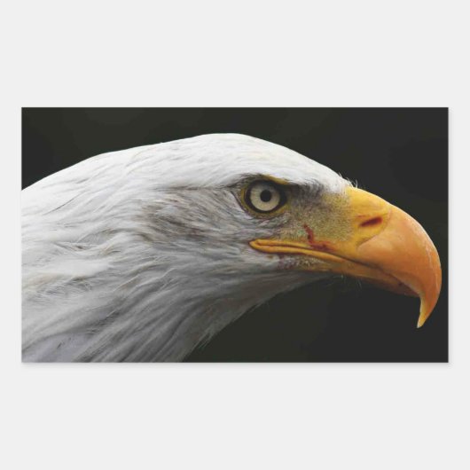 Sticker Rectangulaire Bald Eagle stm (Devant)
