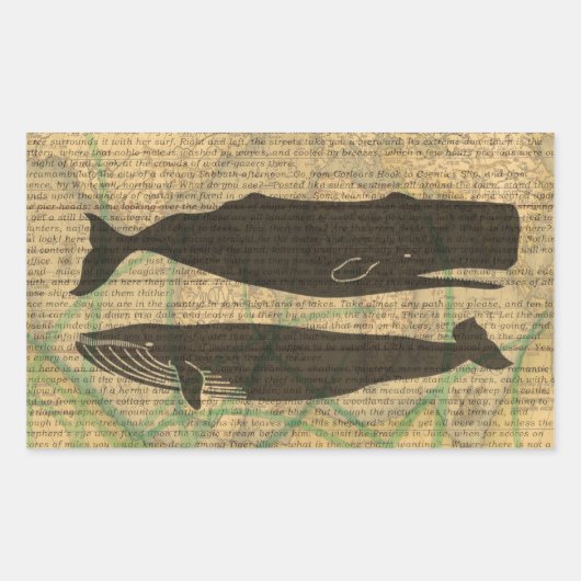 Sticker Rectangulaire Baleine antique Vie marine (Devant)
