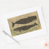 Sticker Rectangulaire Baleine antique Vie marine (Enveloppe)