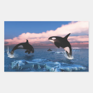 Sticker Rectangulaire Baleines Tueuses Dans L'Océan Arctique