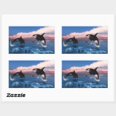 Sticker Rectangulaire Baleines Tueuses Dans L'Océan Arctique (Feuille)