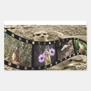 Sticker Rectangulaire Bande photo vintage de Meerkat,