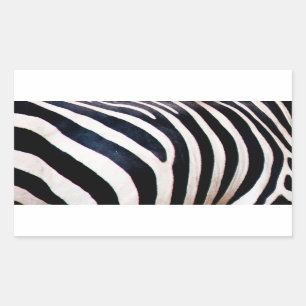 Sticker Rectangulaire Bandes zèbres
