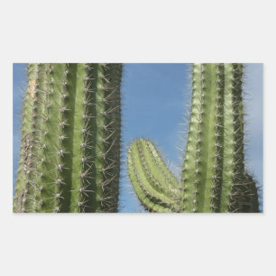 Sticker Rectangulaire Barrel Cactus I Desert Photo