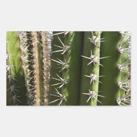 Sticker Rectangulaire Barrel Cactus II Désert Nature Photo (Devant)