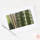 Sticker Rectangulaire Barrel Cactus II Désert Nature Photo (Enveloppe)