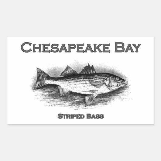 Sticker Rectangulaire Basse rayée de la baie de Chesapeake (Devant)