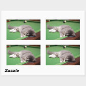 Sticker Rectangulaire Bassin de jeu Kitten (Feuille)