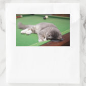 Sticker Rectangulaire Bassin de jeu Kitten (Sac)