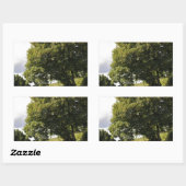 Sticker Rectangulaire Bateaux à canaux (Feuille)