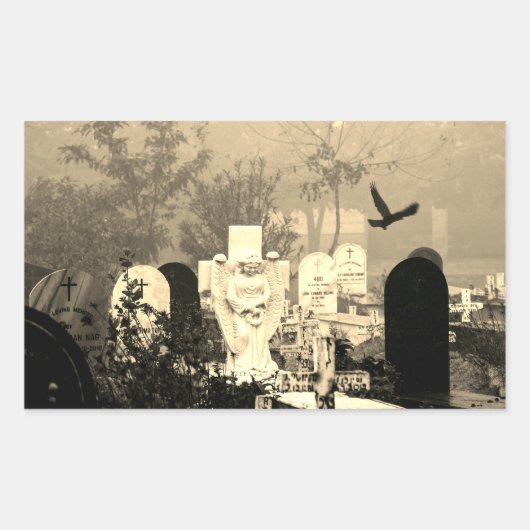 STICKER RECTANGULAIRE BÂTIMENTS DE RECTANGLE DE GRAVIER HAUNÉS (Devant)