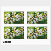 Sticker Rectangulaire Baubépine de printemps à pattes de soleil (Feuille)