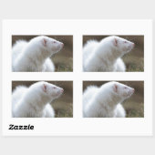 Sticker Rectangulaire Beau Albino Ferret (Feuille)