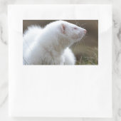 Sticker Rectangulaire Beau Albino Ferret (Sac)
