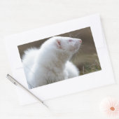 Sticker Rectangulaire Beau Albino Ferret (Enveloppe)