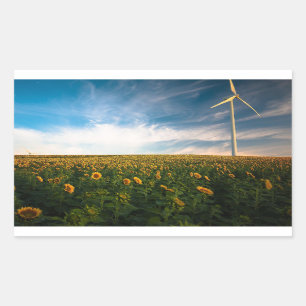 Sticker Rectangulaire beau champ de fleurs de soleil avec ciel bleu nuag