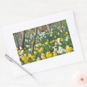 Sticker Rectangulaire Beau jardin de jonquilles de printemps (Enveloppe)