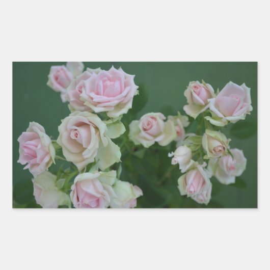 Sticker Rectangulaire Beau jardin rose clair roses (Devant)