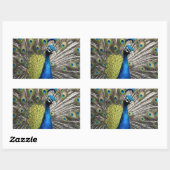 Sticker Rectangulaire Beau Peacock (Feuille)