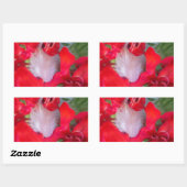 Sticker Rectangulaire Beauté délicate : Fleur rouge avec plumes blanches (Feuille)
