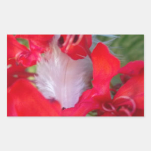 Sticker Rectangulaire Beauté délicate : Fleur rouge avec plumes blanches