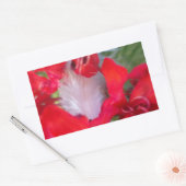 Sticker Rectangulaire Beauté délicate : Fleur rouge avec plumes blanches (Enveloppe)