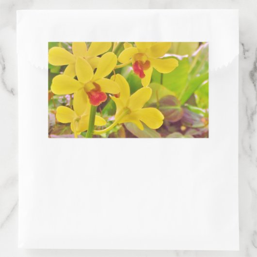 Sticker Rectangulaire Beautiful Yellow autumn (Sac)