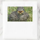 Sticker Rectangulaire Bébé bleu (Sac)