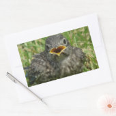 Sticker Rectangulaire Bébé bleu (Enveloppe)