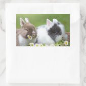 Sticker Rectangulaire Bébé lapin mignon lapins avec fleurs (Sac)